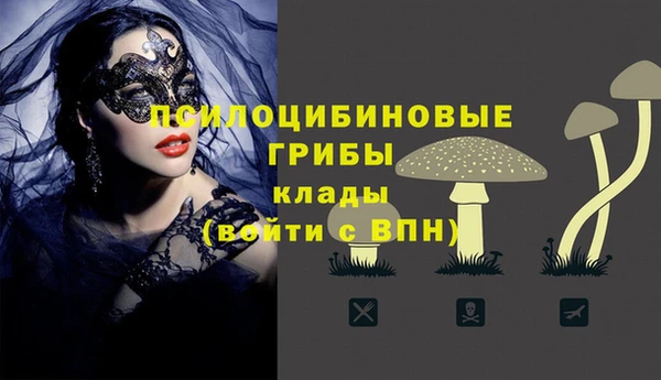 МДМА Бородино