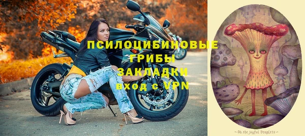 сатива Богородск