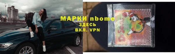 дмт Богданович