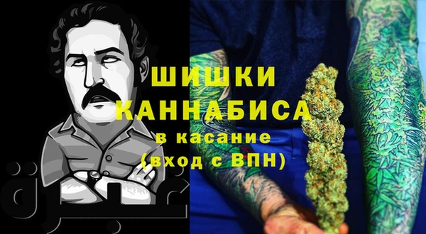 сатива Бугульма