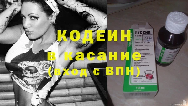 дмт Богданович