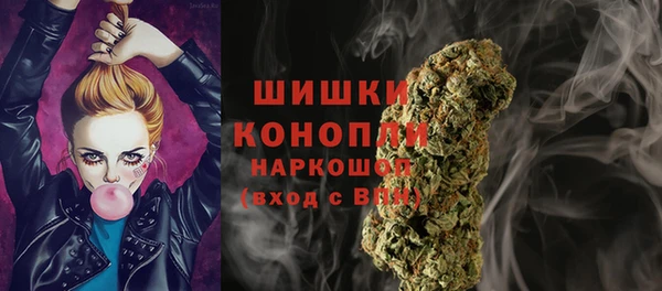 дмт Богданович