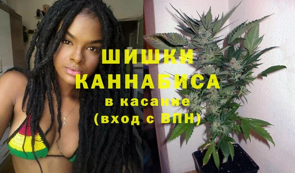дмт Богданович