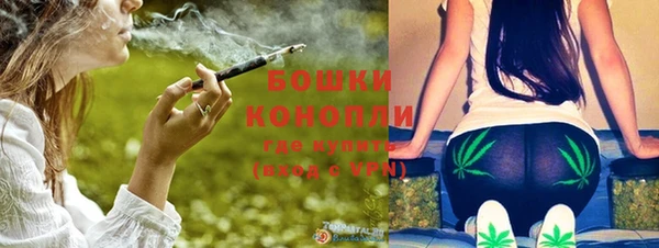 сатива Богородск